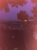 338B3779-49C9-46A5-8DAE-ECAEB1C2D663.jpeg