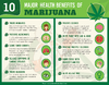 health-benefits-of-marijuana.png