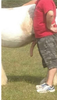 E53B289B-42AD-49B5-B2AB-311B7A75DB5C.png