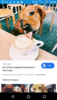 Screenshot_2019-12-29-08-43-39.png
