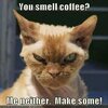 you-smell-funny-coffee-memes.jpg