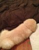 photos_that_look_dirty_but_arent_reall_640_11.jpg