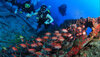 Scuba-Diving-in-Lakshadweep.jpg