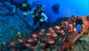 Scuba-Diving-in-Lakshadweep.jpg Scuba-Diving-in-Lakshadweep.jpg