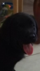 705152A8-54E7-425C-97EA-42E57FBCD567.png