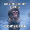 coffee-meme-when-that-first-cup-of-coffee.jpg