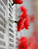 Remebrance_poppy_ww2_section_of_Aust_war_memorial.jpg