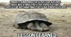 funny-meme-about-learning-to-be-lazy-from-turtles.jpeg