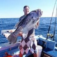 dhufish