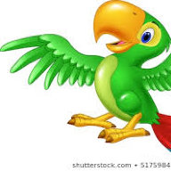 srfalcon