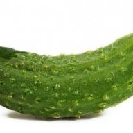 dengis