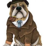 bulldogspirits