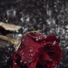 ramona flower