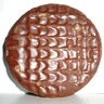 Biscuit