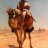 Travelling Nomad