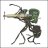 ant62
