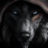badwolf