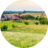 countrypunter